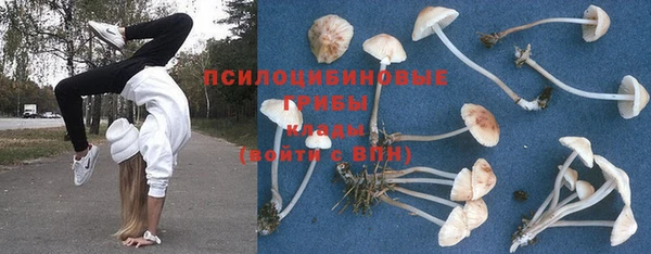 марки nbome Алексеевка