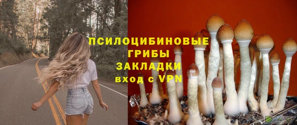 герыч Алзамай