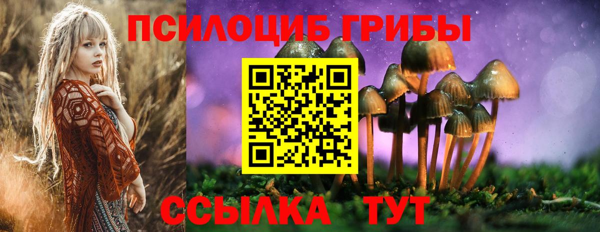 Псилоцибиновые грибы GOLDEN TEACHER Миллерово